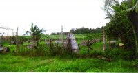 Vacant Lot/ Residential Vacant Lot/ Residential