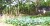 Vacant Lot/ Residential - Image 1