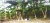 Vacant Lot/ Residential - Image 2