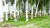 Vacant Lot/ Agricultural - Image 1