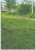 T-484559 - Image 1
