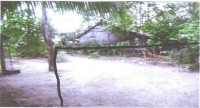 Vacant Lot/ Residential Vacant Lot/ Residential