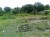 Horticultural land - Image 1