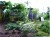 Vacant Lot/ Residential - Image 1