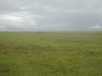 TUMAUINI, ISABELA TCT-T-366511 (Aga)