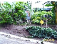 Vacant Lot/ Residential