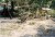 Residential Lot - Image 1