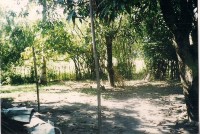 Residential Lot