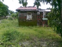 Horticultural land