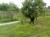 Horticultural land - Image 2