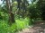 T-433390 - Image 1