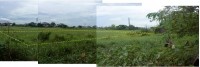 Residential/Subdivision Lot Residential/Subdivision Lot
