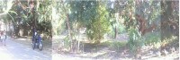 Residential Lot Residential Lot