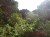 T-71986 - Image 1