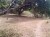 T-64484 - Image 1