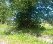 Residential Lot Only/TCT- RT-57028/TDN-01550