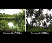 Cocoland & Fish pond/TDN-251/255